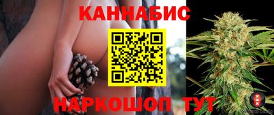 гашик Бузулук