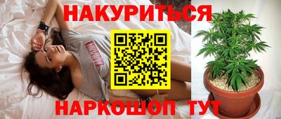 jwh Будённовск